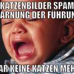KATZENBILDER SPAM WARNUNG DER FÜHRUNG GAR KEINE KA