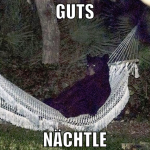 guts nächtle