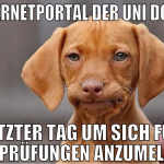internetportal der uni down letzter tag um sich fü