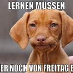 Lernen müssen Immer noch von Freitag blau