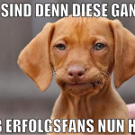 WO SIND DENN DIESE GANZEN BVB ERFOLGSFANS NUN HIN?