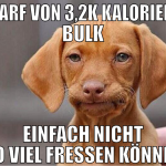 bedarf von 3,2k kalorien im bulk einfach nicht so 