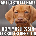 bart gestutzt haben beim müsli essen lauter bartst