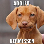 adolfo  vermissen