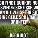 ICH FINDE BURKAS NUR DESWEGEN SCHEISSE, WEIL MAN N