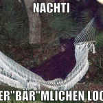 nachti ihr er