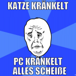 katze kränkelt pc kränkelt   alles scheiße