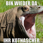 bin wieder da ihr kotnascher
