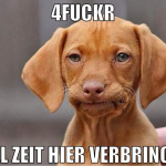 4fuckr viel zeit hier verbringen