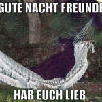 gute nacht freunde hab euch lieb 