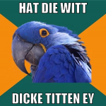 hat die witt dicke titten ey