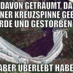Heute davon geträumt, dass ich von einer kreuzspin