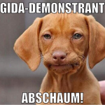 pegida-demonstranten abschaum!
