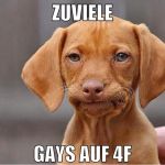 zuviele gays auf 4f