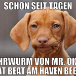 Schon seit Tagen Ohrwurm von Mr. Oizo - Flat Beat 