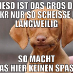 wieso ist das gros der fuckr nur so scheiße und la
