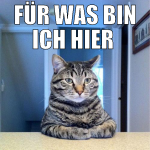 für was bin ich hier  bekannt?