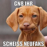 gn8 ihr scheiß neufaks