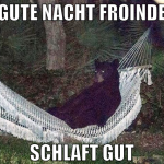 gute nacht froinde schlaft gut
