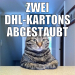 ZWEI DHL-KARTONS ABGESTAUBT BEST DAY EVER