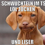 nur schwuchteln im ts die lol zocken und liser