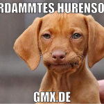 verdammtes hurensohn gmx.de