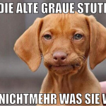 die alte graue stute ist nichtmehr was sie war