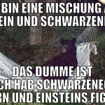 Ich bin eine Mischung aus Einstein und Schwarzeneg