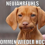 neujahrfühls kommen wieder hoch