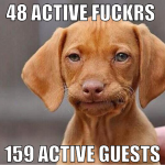 48 active fuckrs  159 active guests