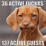 36 active fuckrs  137 active guests
