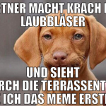 Gärtner macht Krach dem Laubbläser Und sieht durch