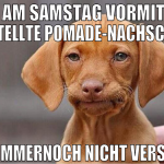 der am samstag vormittag bestellte pomade-nachschu