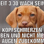 Wach 