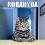 robakyoa bitte melden!