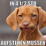 in 4 1/2 std aufstehen müssen