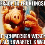 esse gerade tk-frühlingsrollen und sie schmecken w