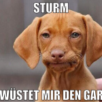 Sturm verwüstet mir den garten