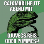 calamari heute abend mit  djuvecs reis oder pommes