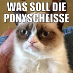 was soll die ponyscheisse im logo
