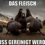das fleisch muss gereinigt werden