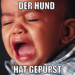 der hund  hat gepupst