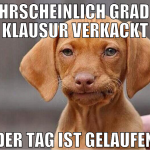 wahrscheinlich grad die klausur verkackt der tag i