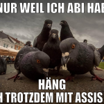 nur weil ich abi hab häng ich trotzdem mit assis a