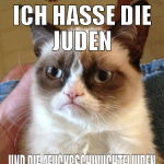 ich hasse die juden und die 4fuckrschwuchteljuden 