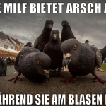 ne milf bietet arsch an während sie am blasen ist