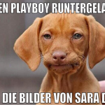 neuen Playboy runtergeladen nur die bilder von Sar