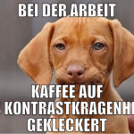 bei der arbeit kaffee auf das kontrastkragenhemd g