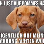 Noch lust auf Pommes haben eigentlich auf meine Er