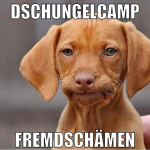 Dschungelcamp Fremdschämen